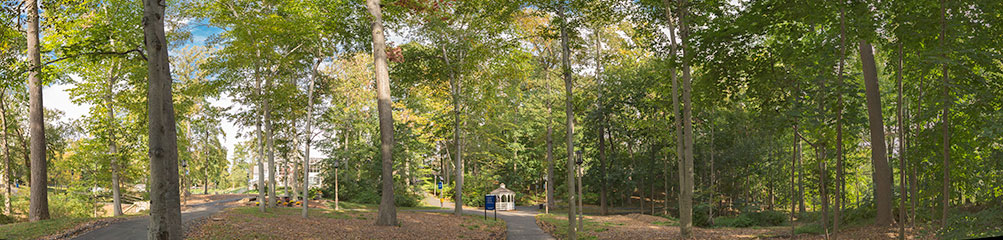 Campus Panoramic