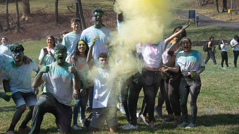 Holi Group