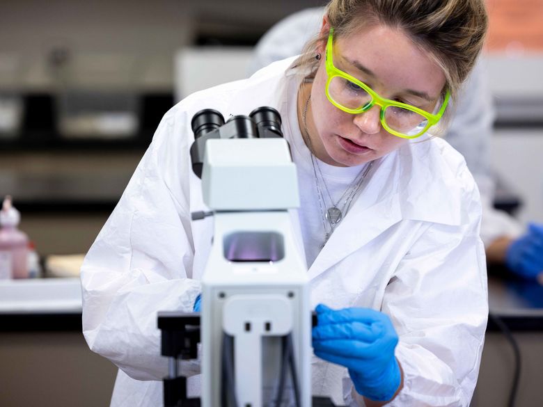 student looking at microscope at Penn State Abington (near Philadelphia)