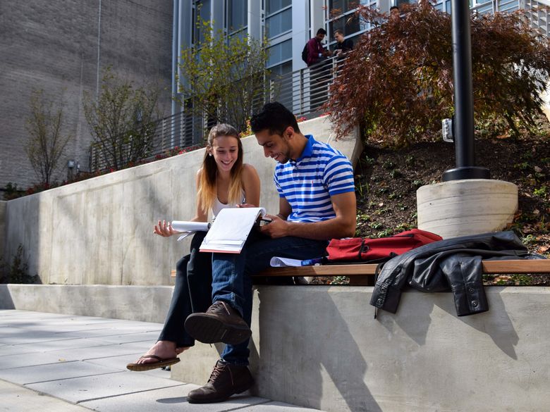 Students sitting on patio reading notes