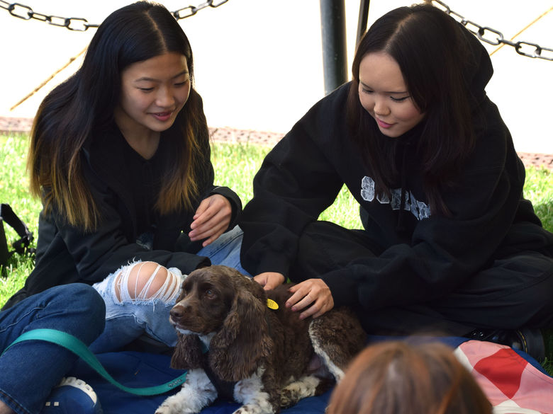 two students petting a therapy dog