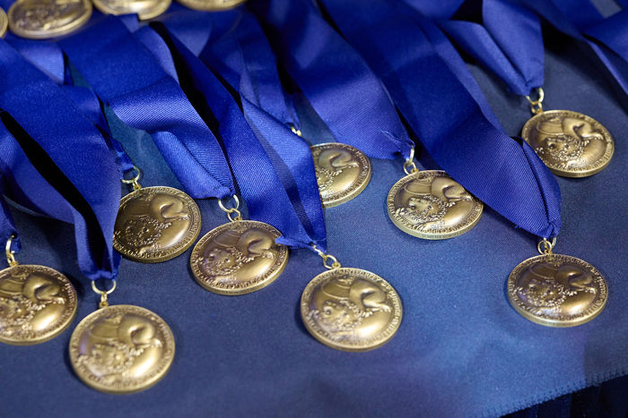 Schreyer medals laying on a table