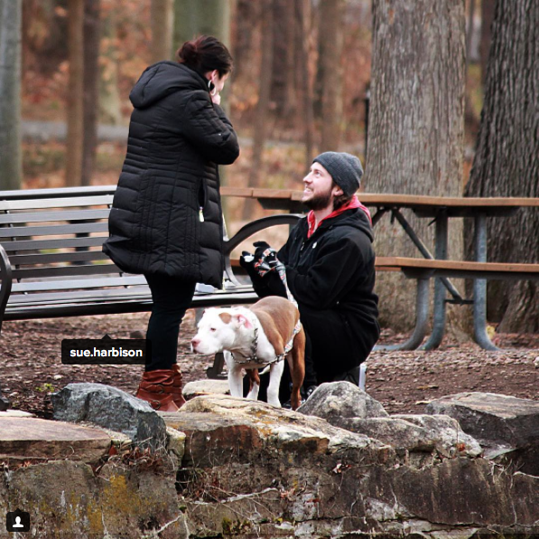 Abington engagement