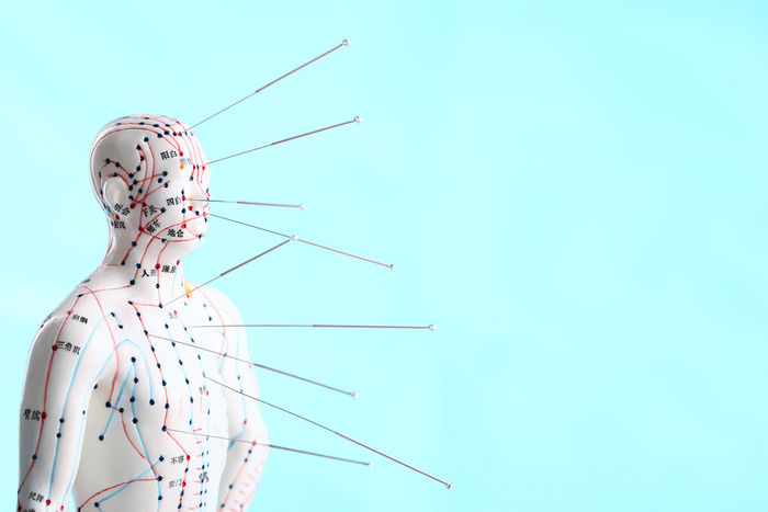 animated dummy with pins pointing to the body