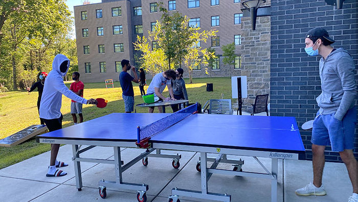lions gate paddle pong