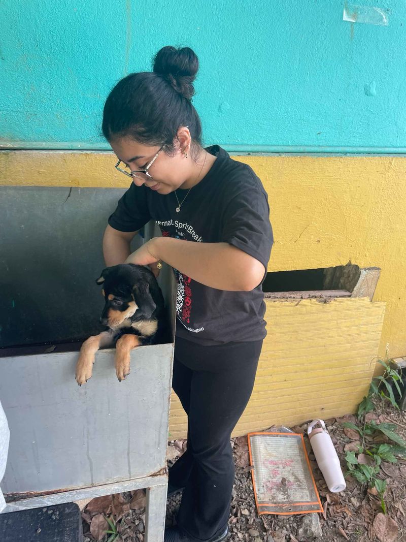 student washing a dog