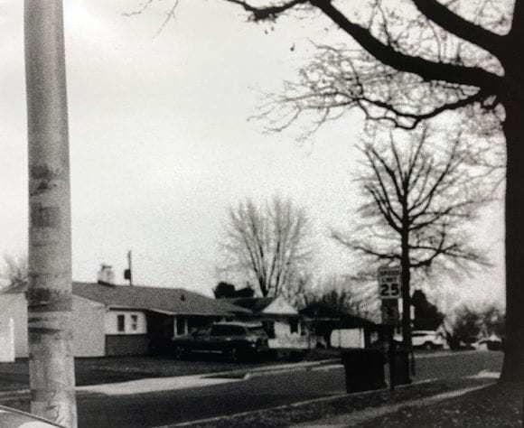 Black and white image of houses and trees