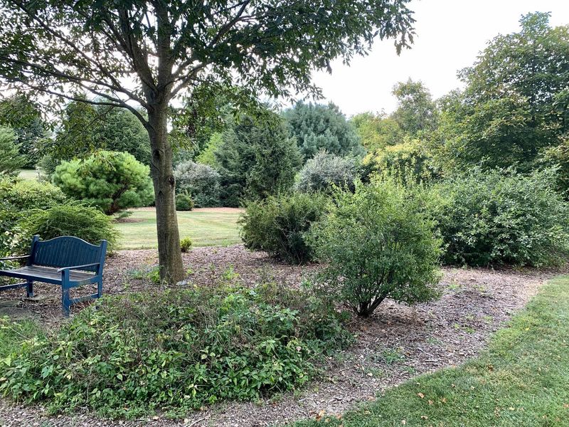 Bench and trees on the Penn State Berks campus