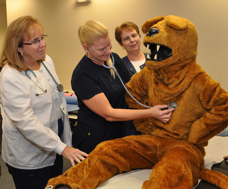 nurse assessment of lion