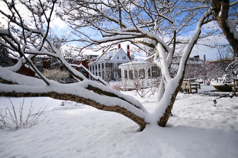 The Hintz Alumni Center in the background of a snow covered tree