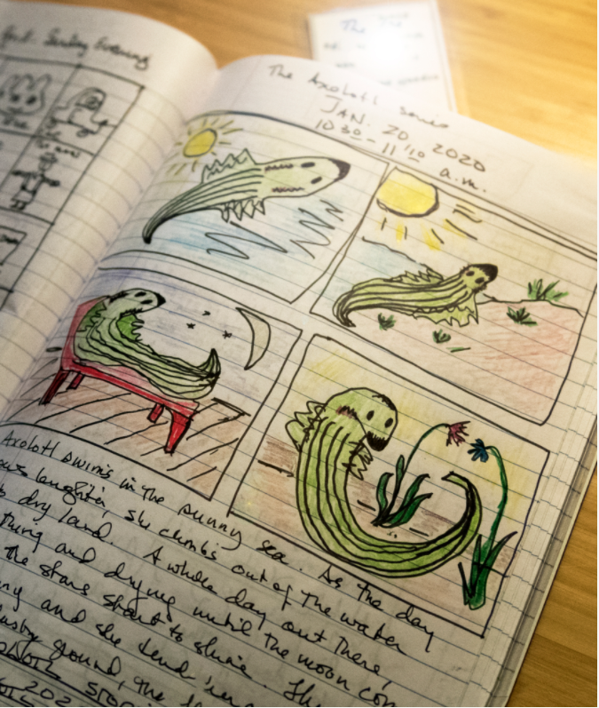 drawings of axolotl salamanders in Squier's journal
