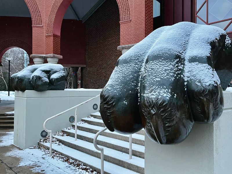 A black statue of a lion's paw covered in snow