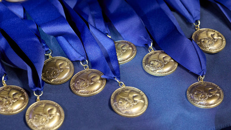 Schreyer medals laying on a table