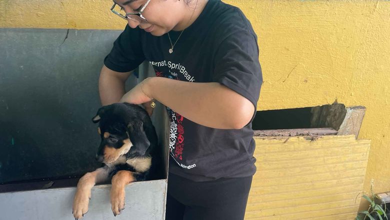 student washing a dog