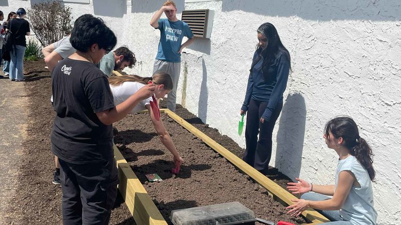 Students working on a garden box