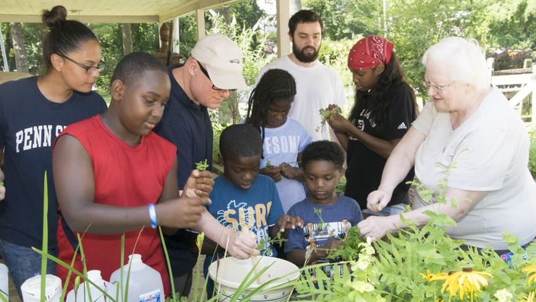 people working with plants 