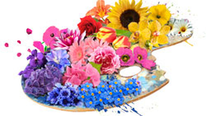 Abington flower show