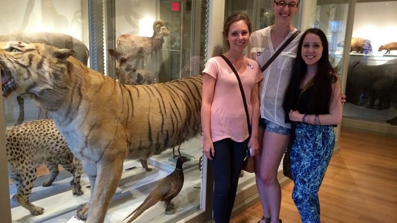 Harvard Museum