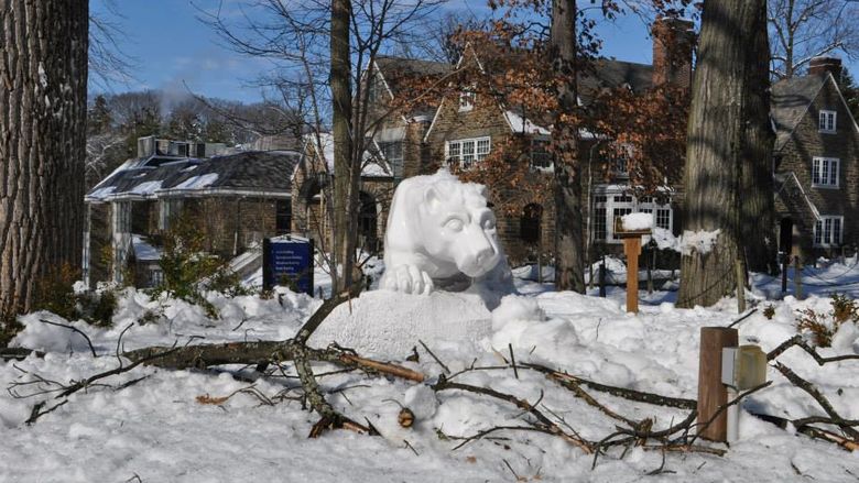 Abington lion storm