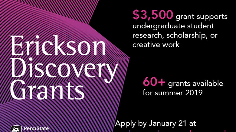 Erickson Discovery Grant info graphic