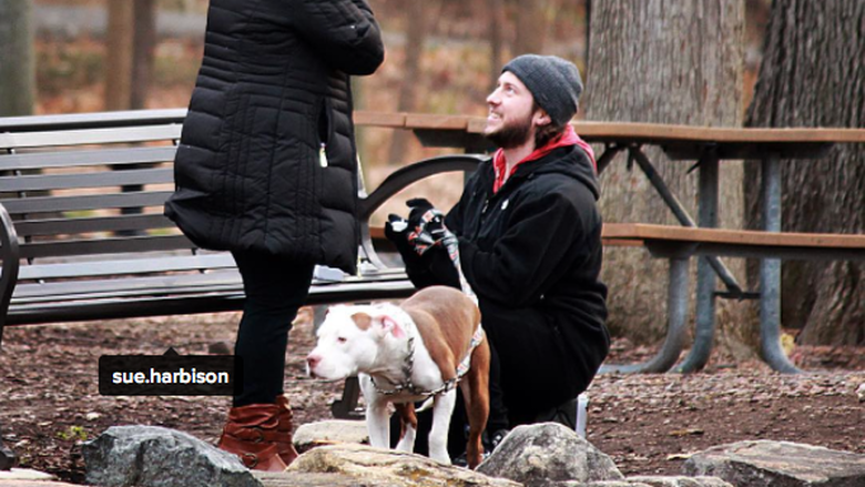 Abington engagement