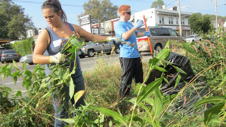 Student pulls weeds from rain garden