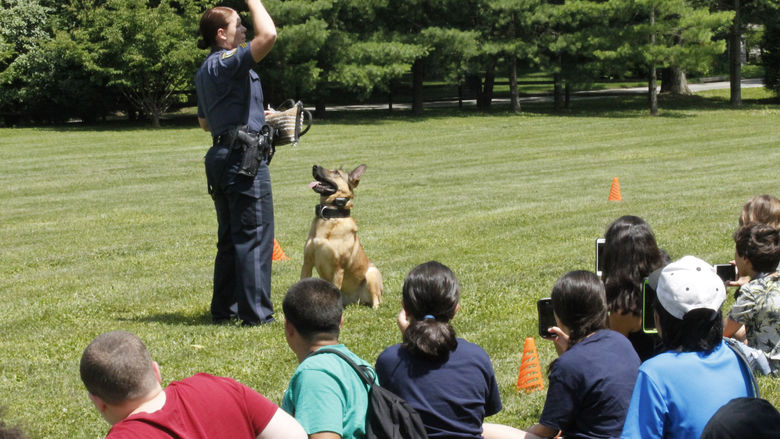 Youth Police 2