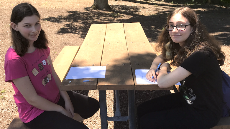 College Essay Writing