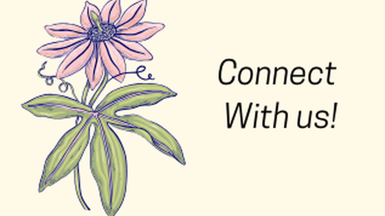 connect with us