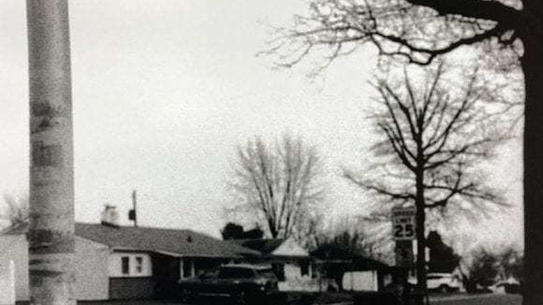 Black and white image of houses and trees