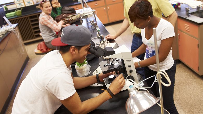 Abington biology chancellor's grants