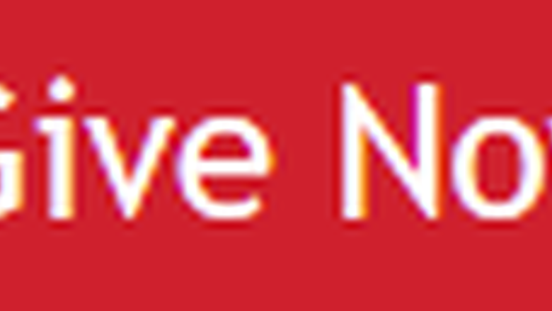 give now button