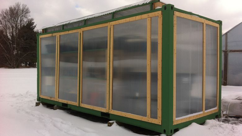 hydroponics garden created from a shipping container