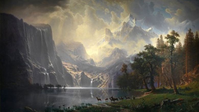 nature scene
