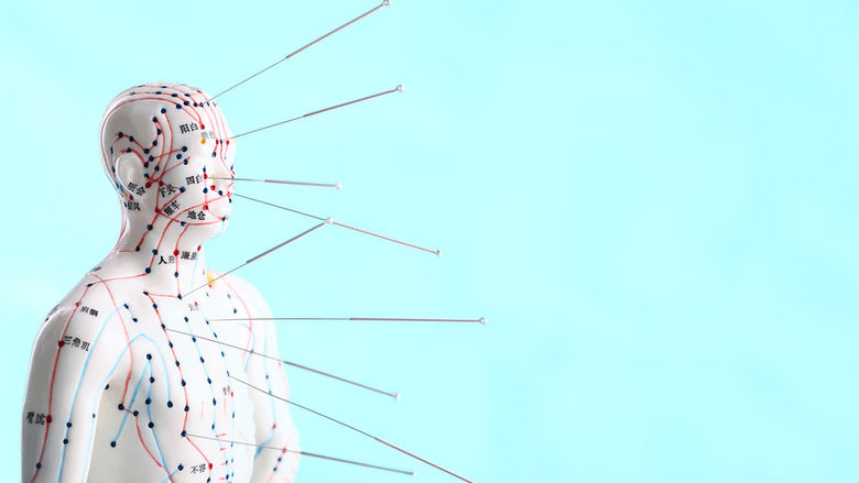 animated dummy with pins pointing to the body