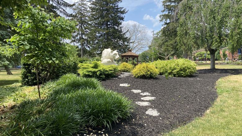 Nittany lion statue and trees on Schuylkill campus