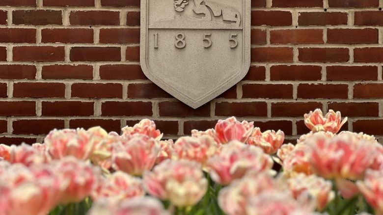 Pink tulips in front of an etched Penn State University shield on a brick building
