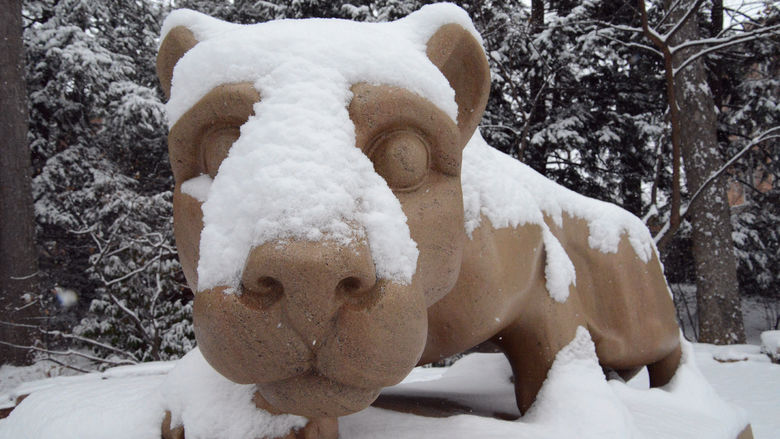 Lion covered in snow