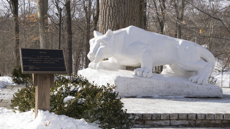 Lions Shring