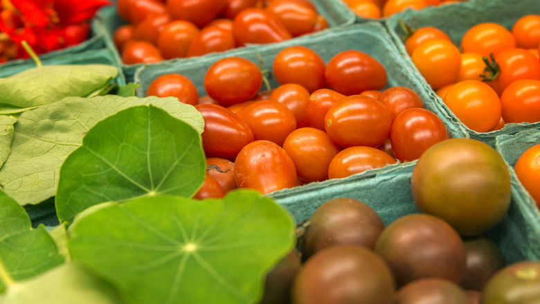 tomatoes