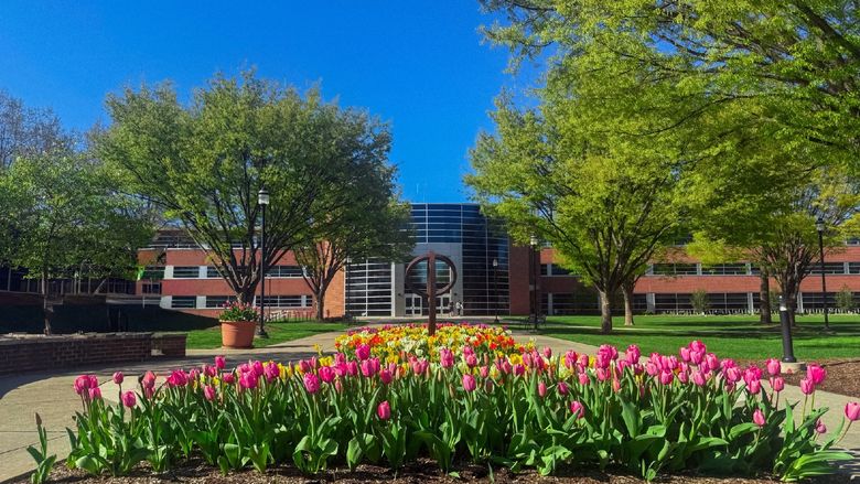Colorful tulips in bloom in front of a campus landmark