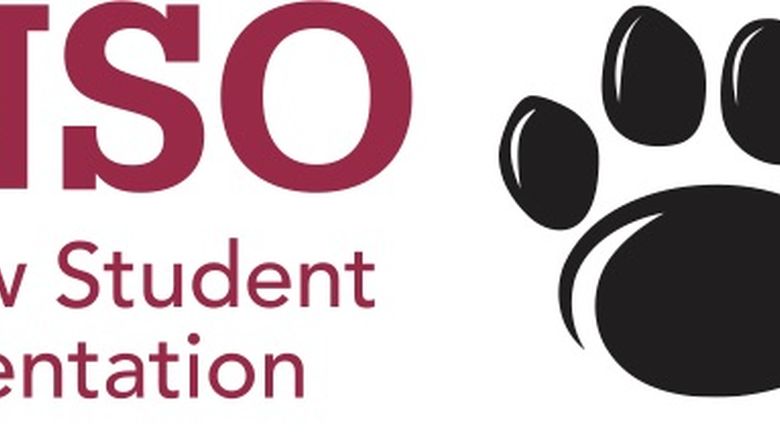 NSO Right Rail Logo