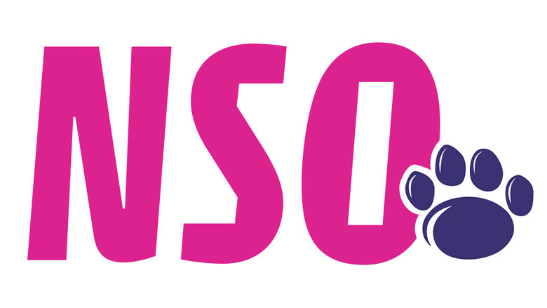 NSO Logo