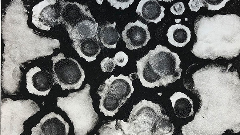Printmaking Gallery - Art