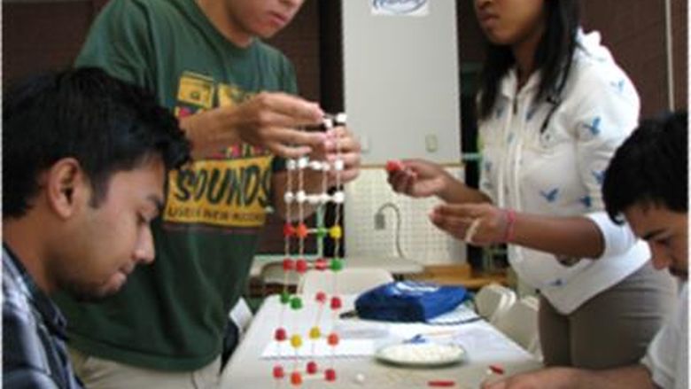 Summer bridge teambuilding activity