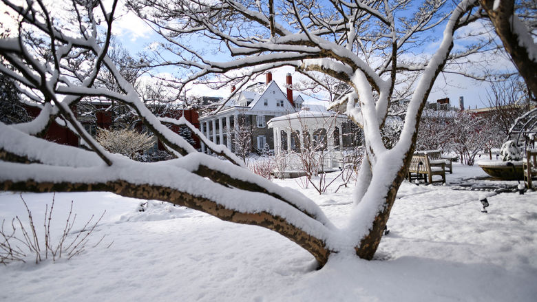 The Hintz Alumni Center in the background of a snow covered tree