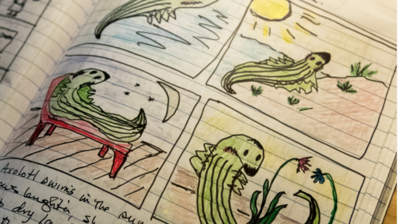 drawings of axolotl salamanders in Squier's journal