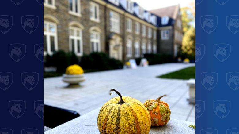 gourds in front of an old stone building