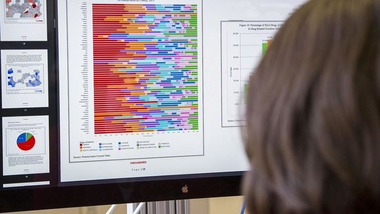 student looking at computer screen with charts