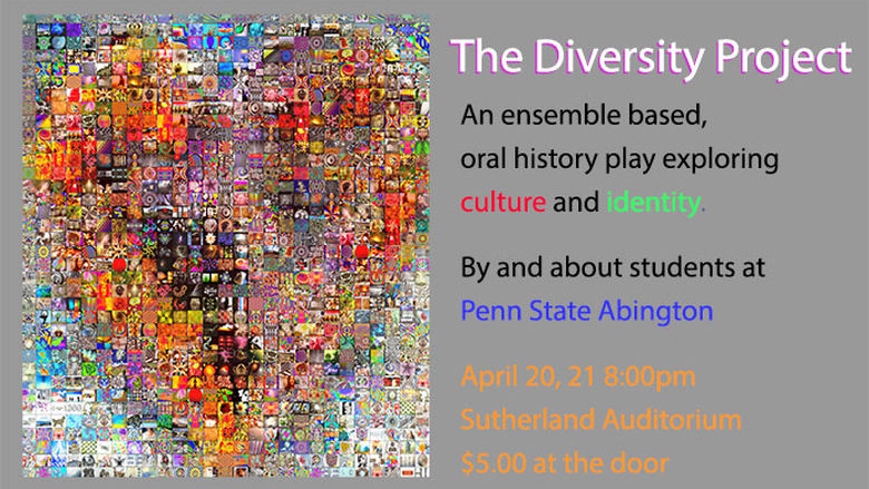 the diversity project
